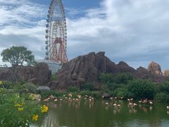 -芽庄珍珠岛游乐园