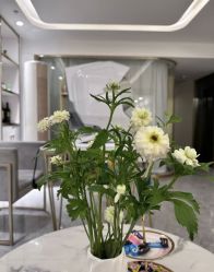 -MIDA蜜哒•科技逆龄美肤连锁