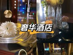 -索拉古贝(义乌北苑店)