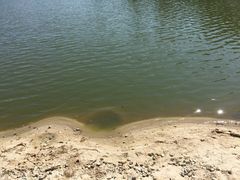 -佛山祈福仙湖酒店