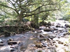-广州市石门国家森林公园