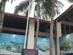 -海南分界洲岛旅游区