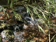 -龙苍沟森林公园