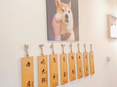 -柴犬小屋·柴餐厅·狗咖食堂(金鼎广场店)