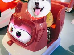 -星舰梦航(广百广场荔胜店)