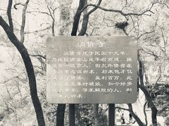 -北京鹫峰国家森林公园