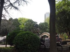 -江湾体育中心游泳馆