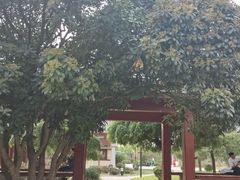 -洛阳古墓博物馆