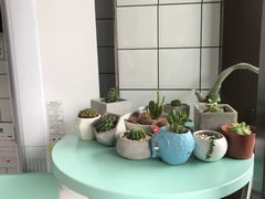 -蜜蜂小象·榴莲千层蛋糕(时代汇11栋店)