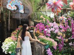 -正佳雨林生态植物园