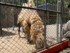 -荆州中山公园动物园