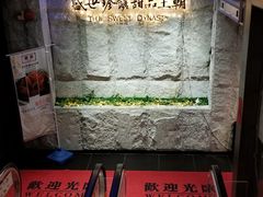 -糖朝(尖沙咀店)