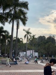 -深圳市儿童乐园