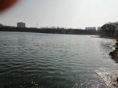 -秀水公园
