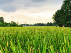 -中国天府农业博览园