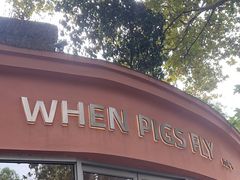 -WHEN PIGS FLY当猪飞