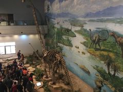 -自贡恐龙博物馆