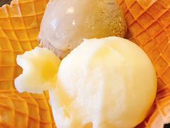 -莓园冰淇淋店