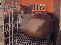 -美联众合动物医院·24h京西诊疗中心