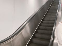 -东方体育中心(地铁站)