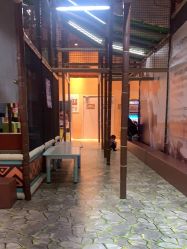 -卡通尼·Safari非洲探索乐园·生日会(金桥国际商业广场店)