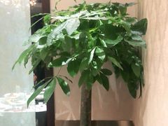 -沪碟·精菜坊(闵行店)