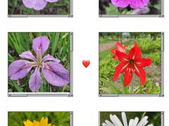 -上海山野camping·户外天幕烧烤·团建拓展营地