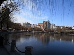 -文瀛公园