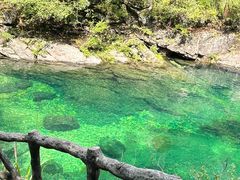 -石台牯牛降景区