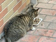 -一家人面馆(三条巷店)