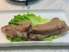 -丁老爷子苏香圆