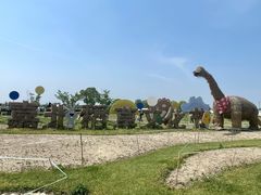 -嘉北郊野公园
