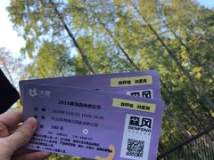 -黄海国家森林公园