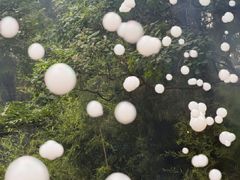 -淄博聊斋城景区