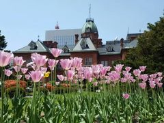 -北海道厅旧本厅舍(旧本庁舎)