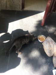 -汉刺青TATTOO STUDIO