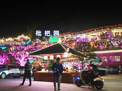 -枇杷园食为鲜火锅(南山店)