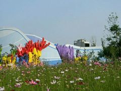 -北戴河圣蓝海洋公园