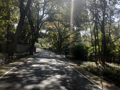 -东湖落雁景区