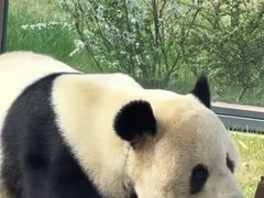 -无锡动物园·太湖欢乐园