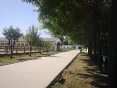 -北京群众马术培训基地