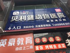 -宠颐生贝利健动物医院(谢家湾分院)