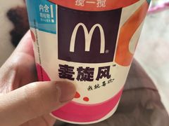 -麦当劳(红旗路店)