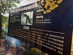 -嘉荫恐龙国家地质公园