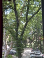 -南京医科大学友谊整形外科医院