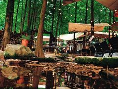 -铁山坪森林公园