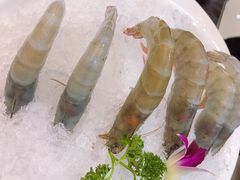 -红菇坊鲜汤火锅(北站店)