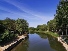 -大兴滨河森林公园