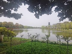 -上海鲜花港
