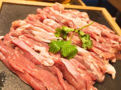 手切鲜羊肉-额尔敦传统涮火锅·冰煮羊(铁东店)